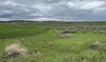 10 Mile Pass Rd, Bancroft, ID 83217