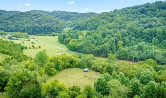 1385 Betsy Ross Rd, Afton, TN 37616