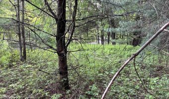 Map17-Lot 31 & 33 River Road, Bath, NH 03740