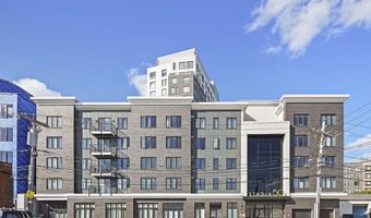 50 Hichborn St 204, Boston, MA 02135