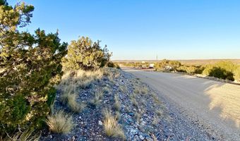 Tbd Co Rd 5062 2.39 Acres, Concho, AZ 85924