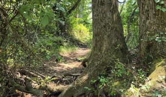 00 Honeysuckle Rd, Bald Knob, AR 72010