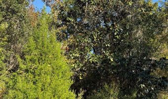 129 Water Oaks Way, Apalachicola, FL 32320