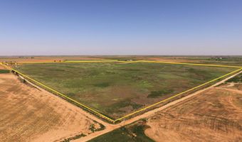 1773 Co Rd 222, Amherst, TX 79312