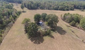 County Road 113, Alton, MO 65606
