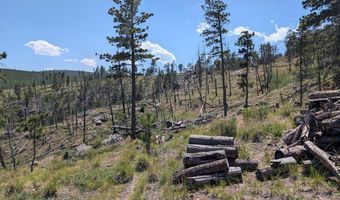 Old Camp Rd, Bellvue, CO 80512