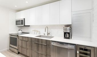 630 E Cooper Ave 2, Aspen, CO 81611