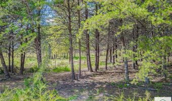 Obie Road, Axton, VA 24054