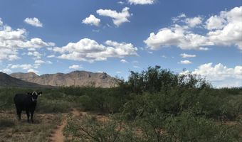 120 AC Off Stronghold & Ironwood Rd, Cochise, AZ 85606