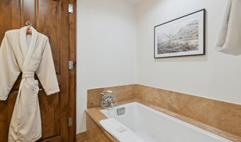 415 E Dean St Unit 46 Week 34, Aspen, CO 81611