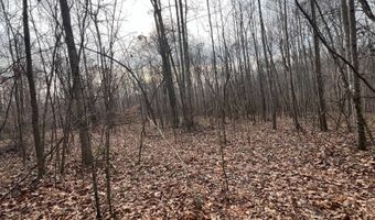 1383 HogBack Rd, Albany, KY 42602