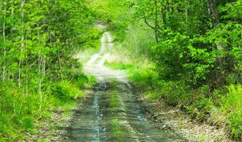 Pleasent Pond Road lot 6, Atkinson, ME 04426