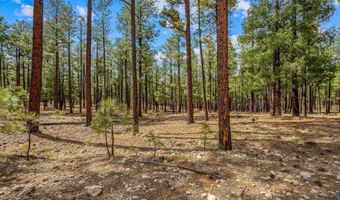 Tbd CR2325, Alpine, AZ 85920