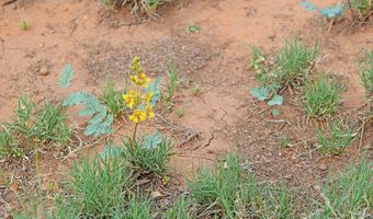 Rio Grande Estates 26, Belen, NM 87002