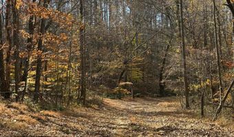 9- A Dulwich Dr, Amherst, VA 24521