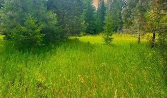 NNA Ginger Ln, Bonners Ferry, ID 83805