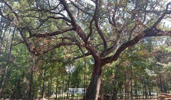 16253 Tolbert Rd, Bay Minette, AL 36507