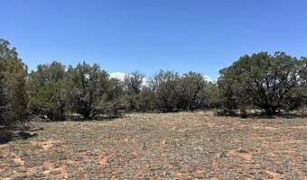 61 Norma Nw4 Rd, Ash Fork, AZ 86320