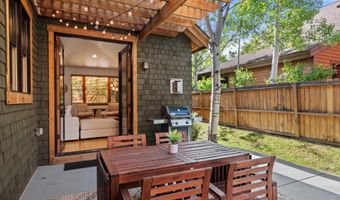 316 Allison Ln B, Basalt, CO 81621