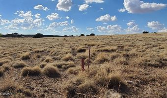 1 County Road 5088, Concho, AZ 85924