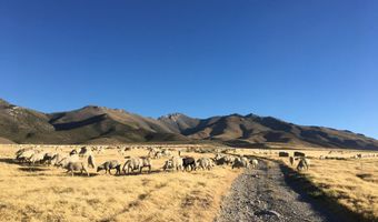 T32 SEC21 lot 00838001, Imlay, NV 89418