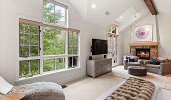 289 Exhibition Ln, Aspen, CO 81611