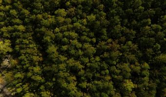 US Hwy 98, Beaumont, MS 39423