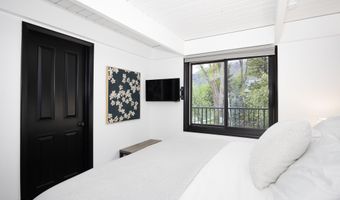 901 E Hyman Ave 4, Aspen, CO 81611