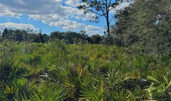 0 ALTURAS BABSON PARK CUT OFF Rd, Bartow, FL 33830