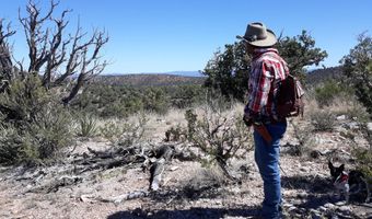 444 445 S Arizona Rd, Ash Fork, AZ 86320