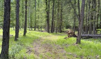258 Welcome Ln, Bonners Ferry, ID 83805