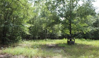TBD CR 4670, De Kalb, TX 75559