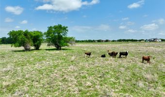 TBD 11 acres Fm 1183, Alba, TX 75119