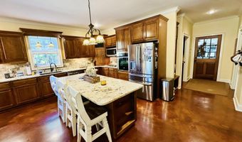 1450 CR 704, Blue Mountain, MS 38610