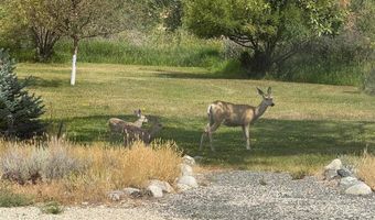 27 Teepee Ring Rd, Clark, WY 82435