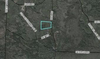 TRACT 20 Max Road, Perry, FL 32347