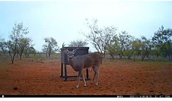 12415 County Road 356, Anson, TX 79501