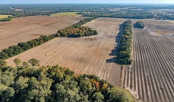 3431 Gladys Ct, Albany, GA 31705