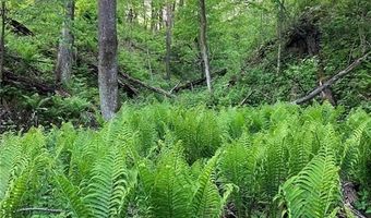 N3953-201 Bear Pen Road, Arkansaw, WI 54721