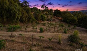 3807 Wendi Ct, Fallbrook, CA 92028