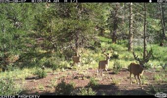 Spanish Peaks Dr, Aguilar, CO 81020