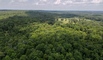 153 Private Road 204-184, Alton, MO 65606