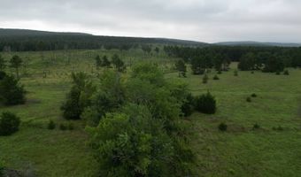 428665 E 1920 Rd, Antlers, OK 74523