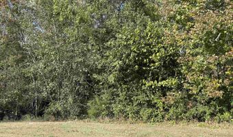 Nix RIdge Road, Ash Flat, AR 72513