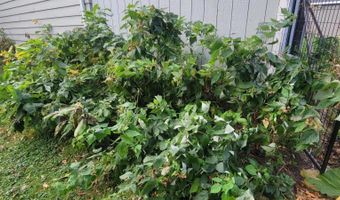 315 West St, Bristol, SD 57219