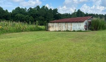 4180 McConnell Bridge Rd, Adel, GA 31620
