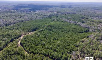 Jones Lane, Bay Minette, AL 36507