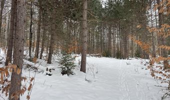 9606 MUNGER Rd, Afton, MI 49705