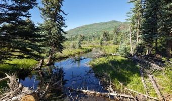 201 Golden Forest Rd, Bayfield, CO 81122