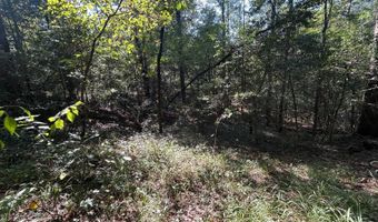 4496 State Hwy 130, Banks, AL 36005